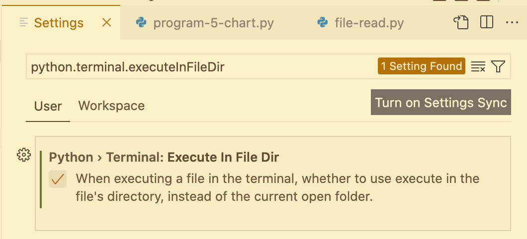 VS Code Settings for execute in file directory.