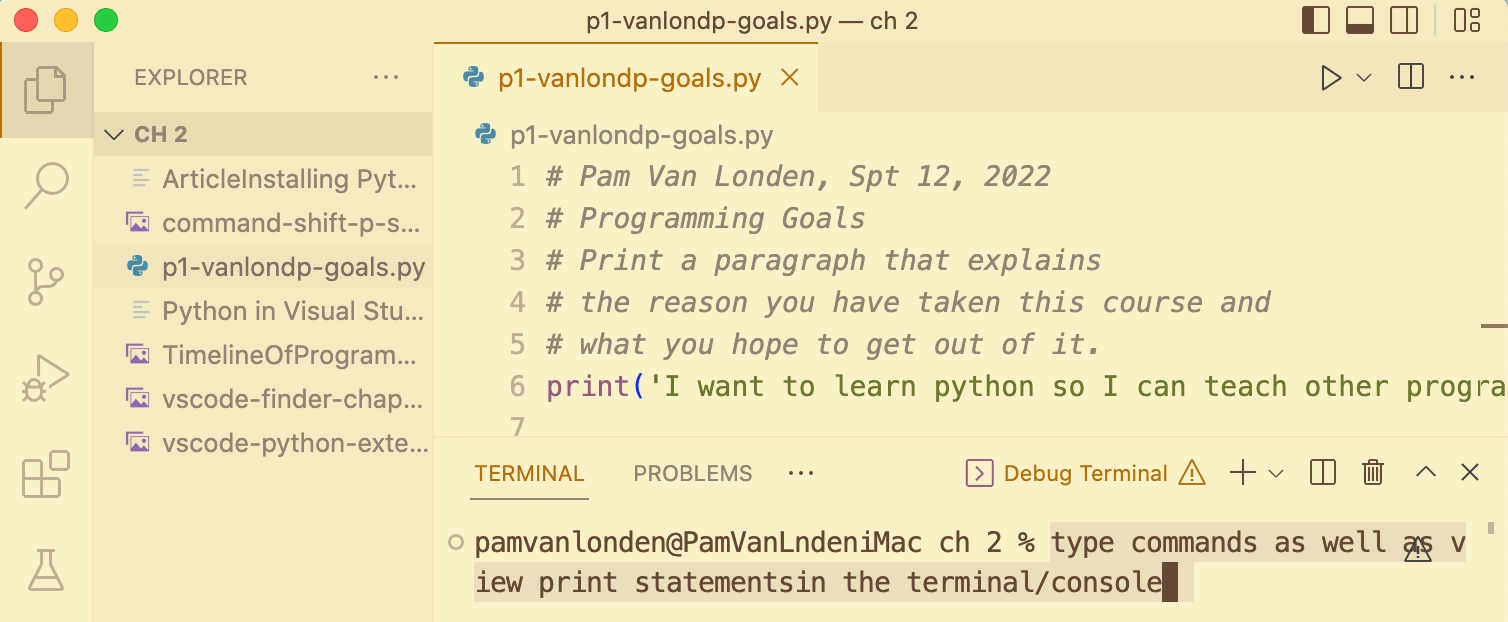 Use the terminal to type commands and view print statements.